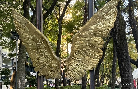 Wings-of-mexico.jpg